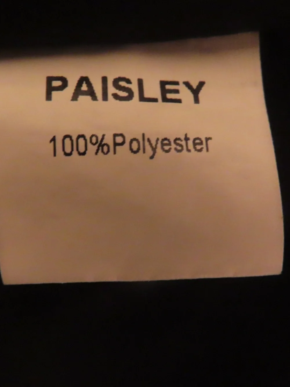 Paisley charming butterfly
